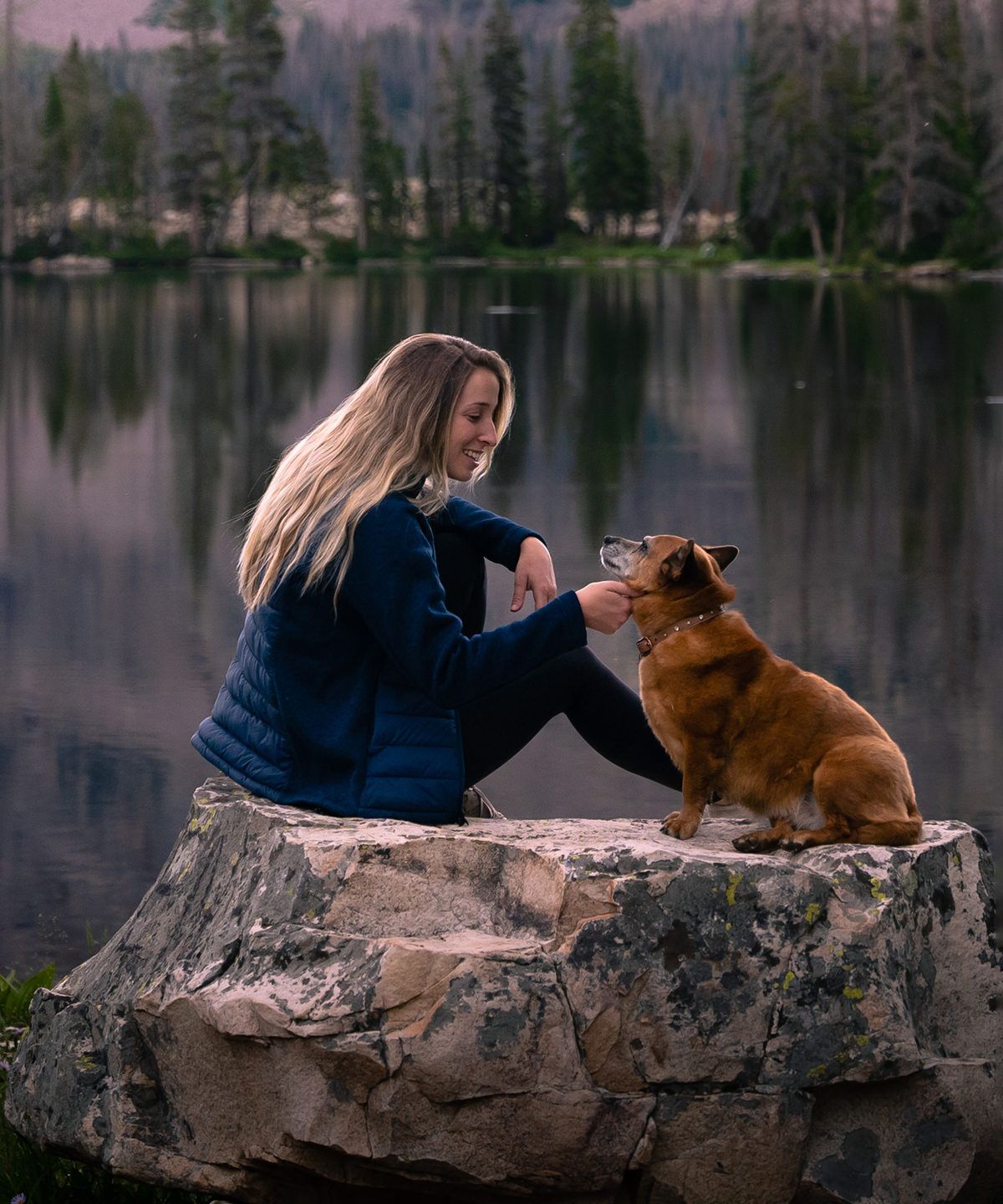 Narvik Hybrid Jacket Women - Stormtech Narvik Hybrid Jacka Dam