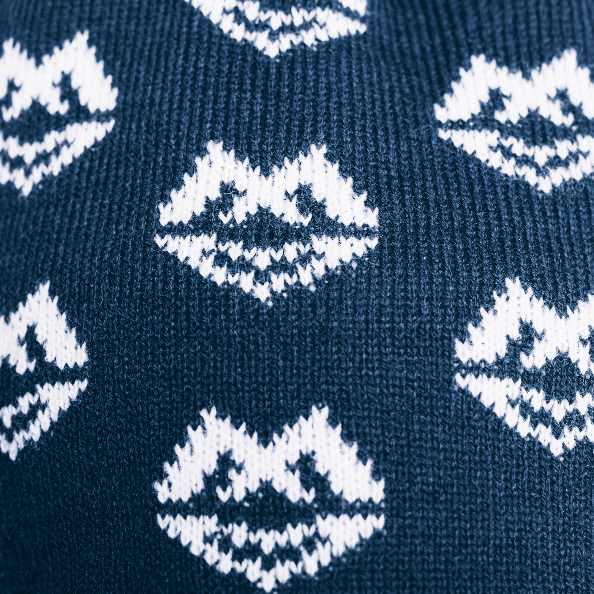 Fabulous Race Feel Good Beanie blå